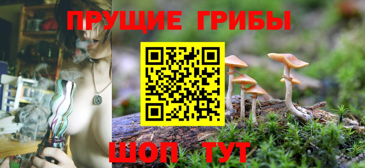 Галлюциногенные грибы прущие грибы  Вход с VPN  Верхний Уфалей 